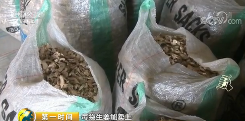 国际生姜价格暴跌超8成 生姜大国尼日利亚心里有点苦._财经_网